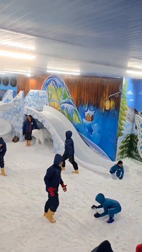 Snow Park